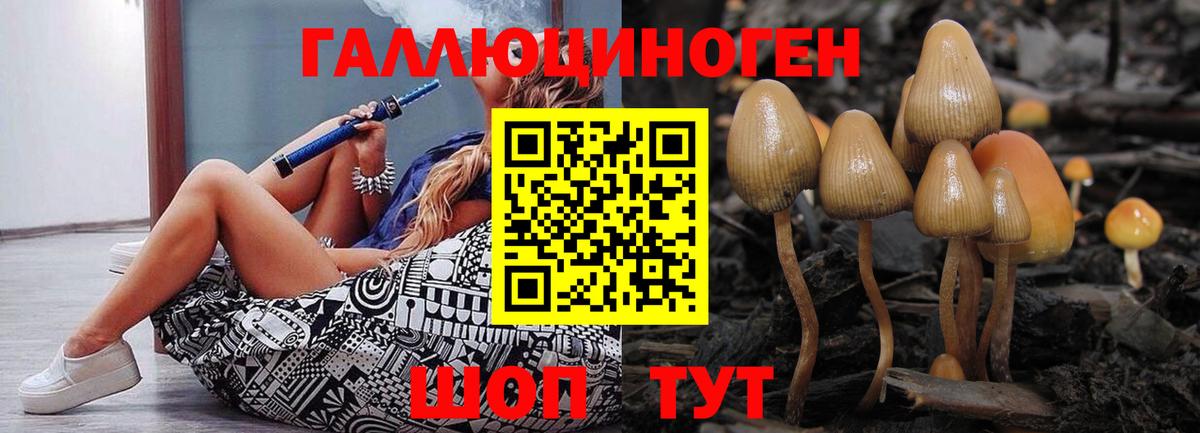 Галлюциногенные грибы Cubensis  Вход с VPN  Майкоп 